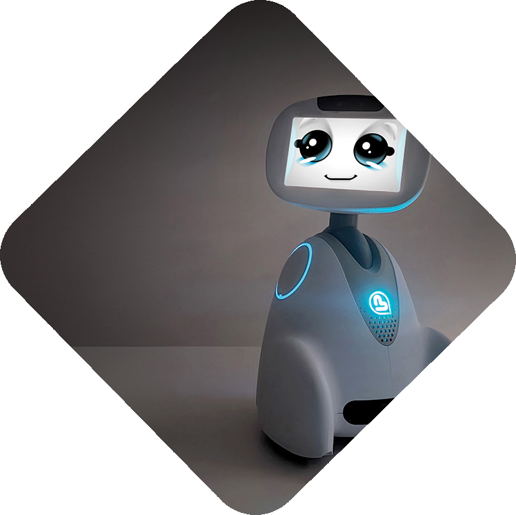 Utilisation du logiciel Sparks par le robot Buddy pour une fonction d'accueil