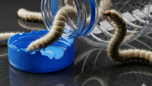 Chenille plastique